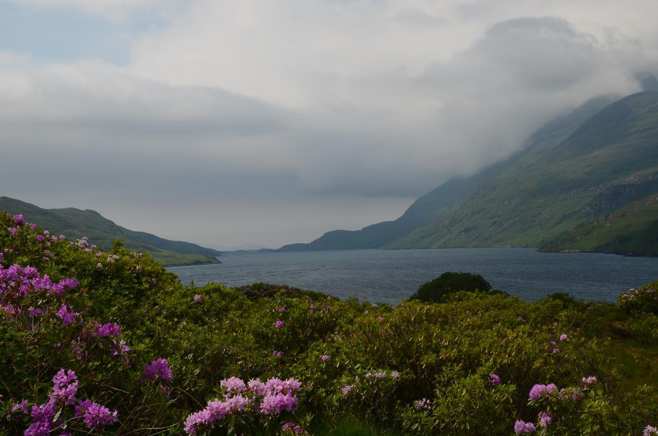 The Connemara Hostel - Sleepzone Линон Экстерьер фото
